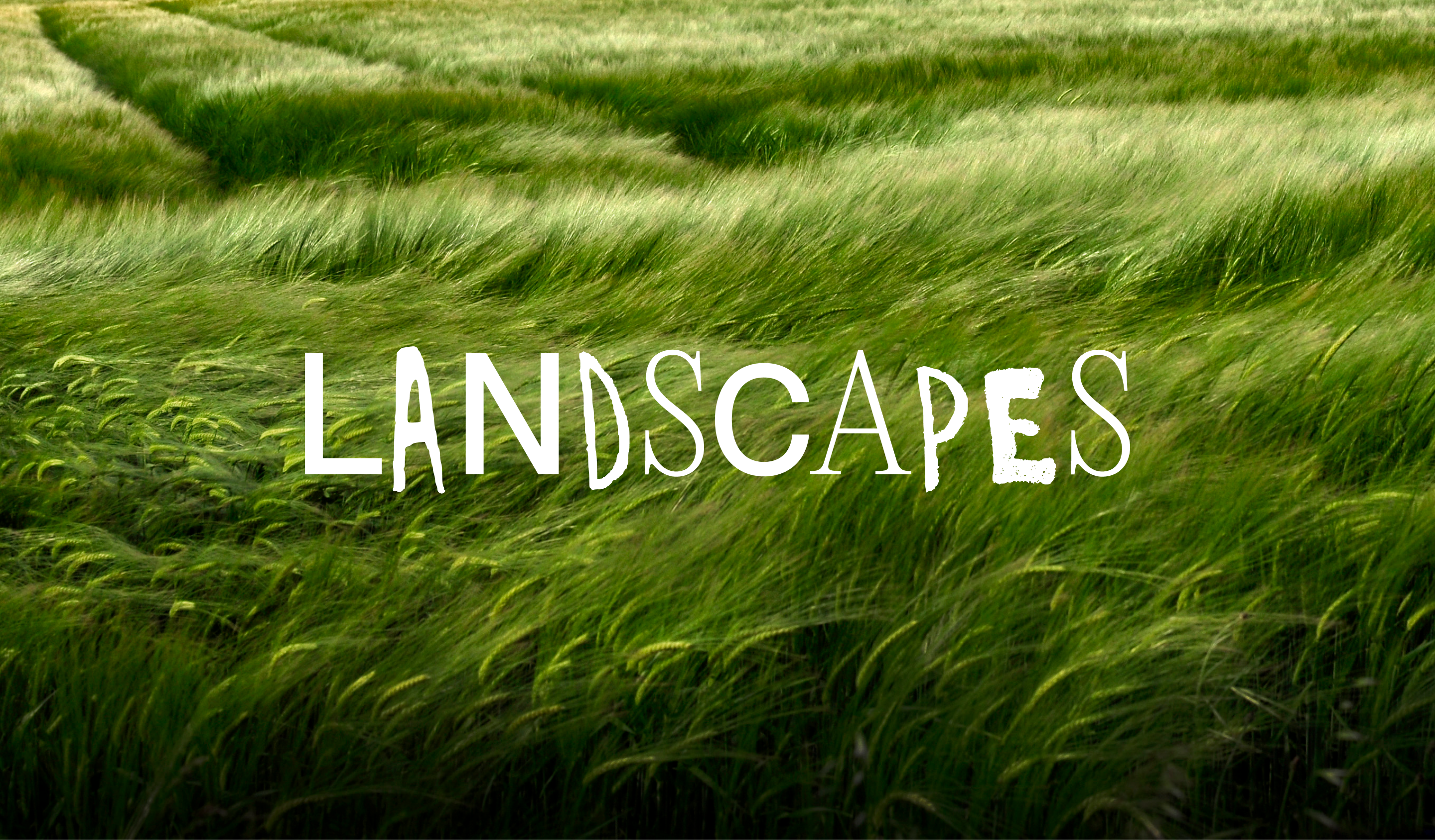 Landscapes